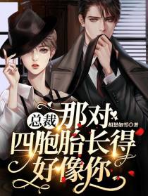 总裁，那对四胞胎长得好像你