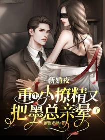 新婚夜重生小撩精又把墨总亲晕了