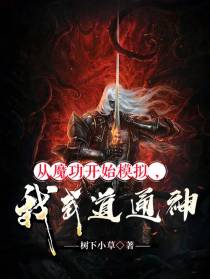 从魔功开始模拟，我武道通神