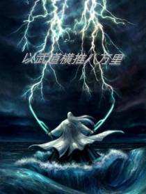 以武道横推八万里