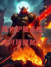 废物护盾系统,亦可屠魔弑神