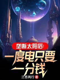 垄断太阳后：一度电只要一分钱