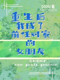 重生后我成了前任对家的女朋友