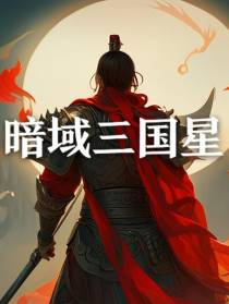 暗域三国星