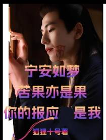 宁安如梦苦果亦是果你的报应是我