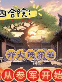 四合院：许大茂穿越从参军开始