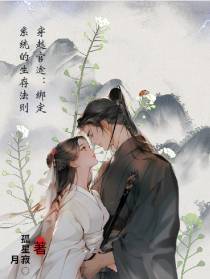穿越官途：绑定系统的生存法则