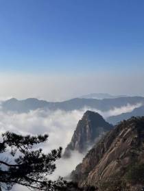 小灵猫的现世之旅