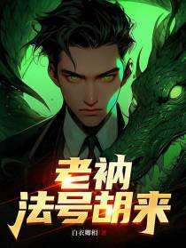 老衲法号胡来