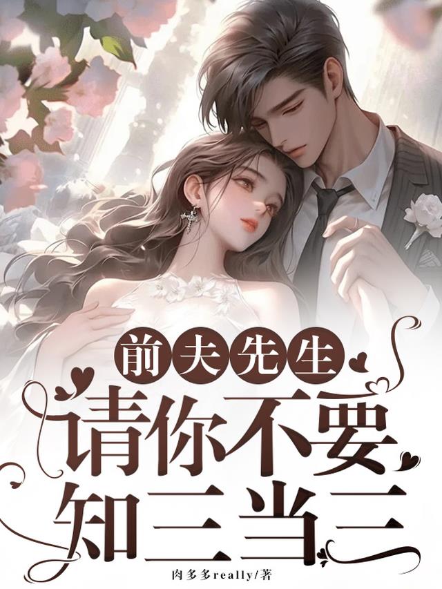 前夫先生,请你不要知三当三