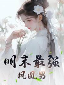 明末最强凤凰男