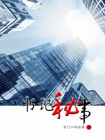 书记秘事