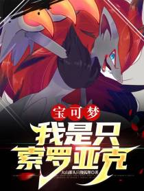 宝可梦：我是只索罗亚克