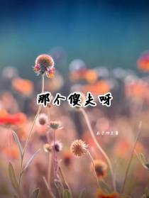 那个傻夫呀