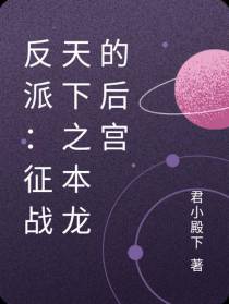 反派：征战天下之本龙的后宫