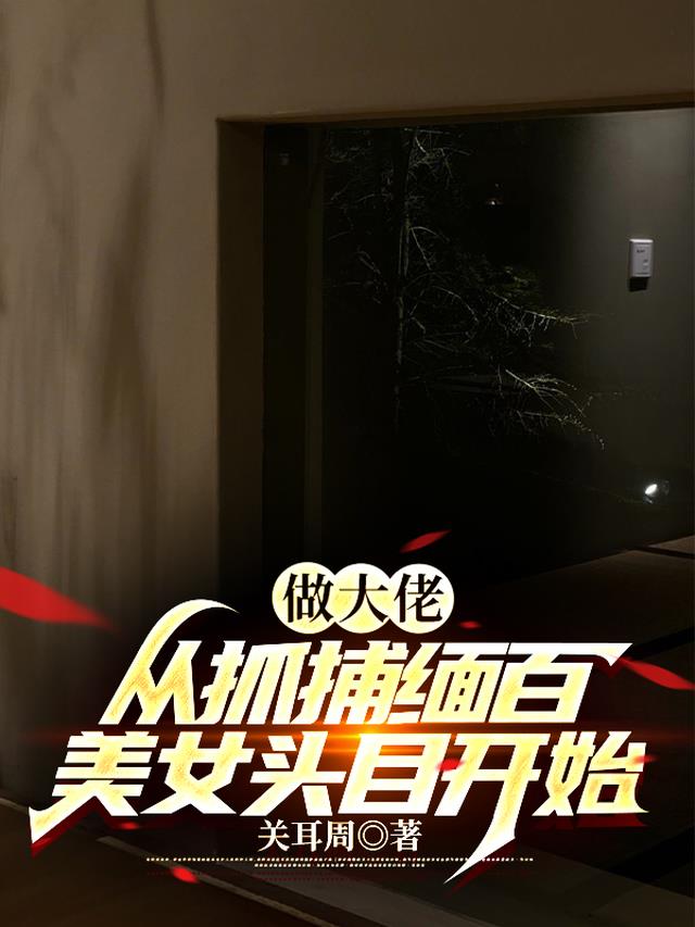 做大佬,从抓捕缅百美女头目开始