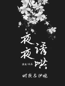 夜夜诱哄