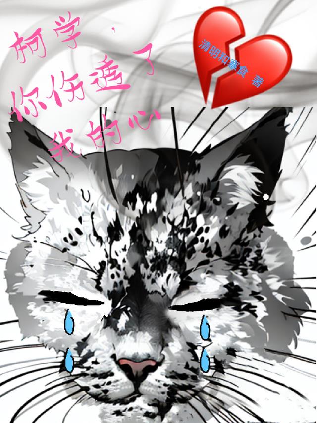 柯学,你伤透了我的心！