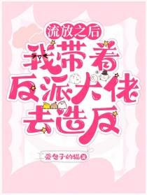流放之后,我带着反派大佬去造反