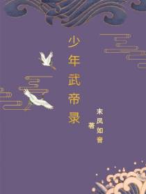 少年武帝录