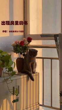 出租屋里的书