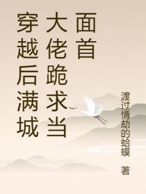 穿越后满城大佬跪求当面首