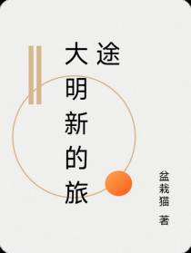 大明新的旅途
