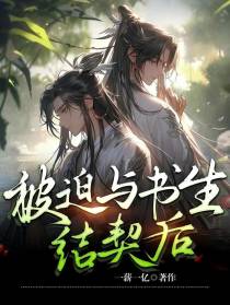 穿越修仙：被迫与书生结契后