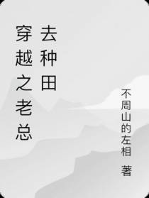 穿越之老总去种田