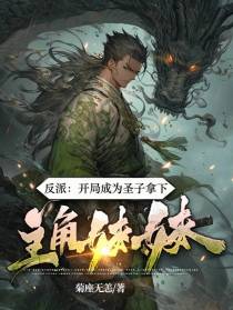 反派：开局成为圣子拿下主角妹妹