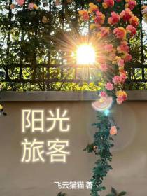 阳光旅客
