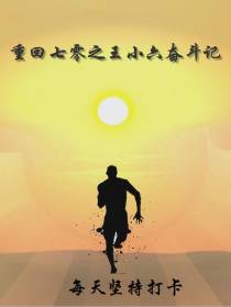 王小六奋斗记