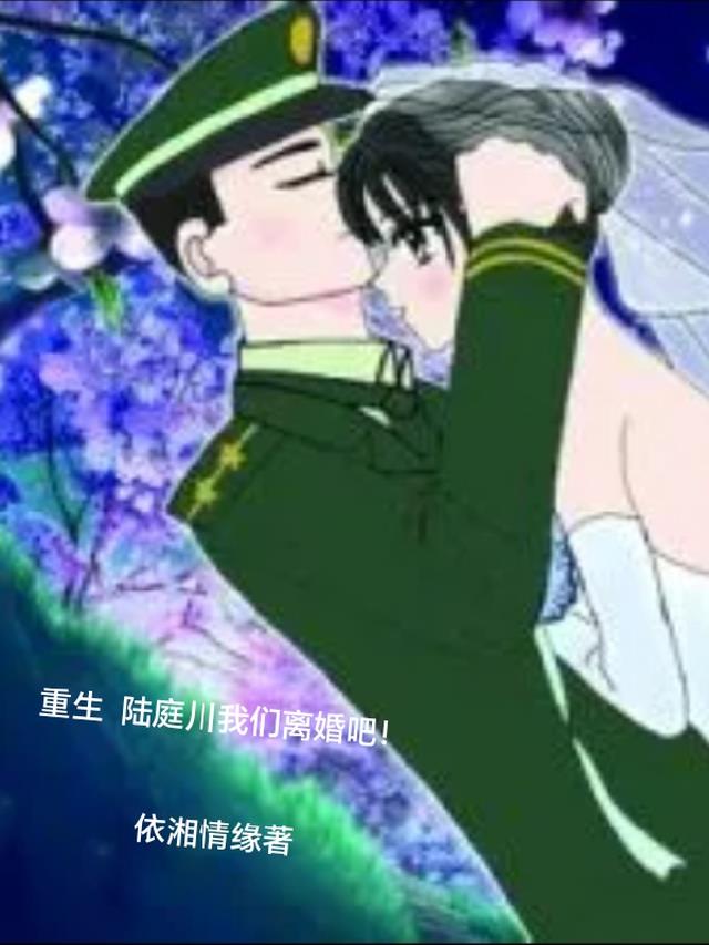 重生,陆庭川我们离婚吧！