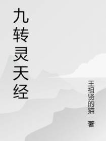 九转灵天经