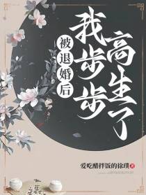 被退婚后,我步步高生了