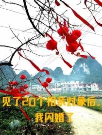 见了20个相亲对象后,我闪婚了