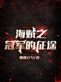 海贼之冠军的征途