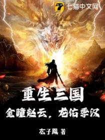 重生三国：金瞳赵云,龙佑季汉