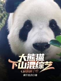大熊猫下山混综艺,C位出圈啦！