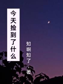 今天捡到了什么