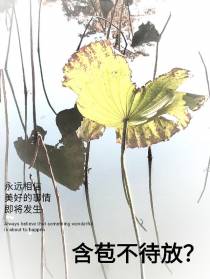 含苞不待放？