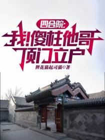 四合院：我！傻柱他哥,顶门立户