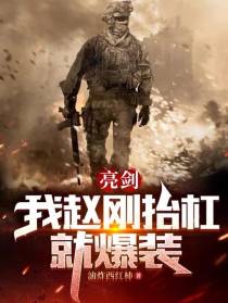 亮剑：我赵刚,抬杠就爆装
