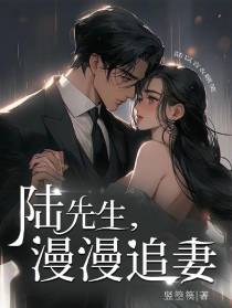 陆先生,漫漫追妻