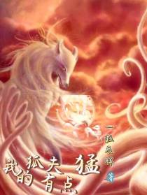 我的狐夫有点猛