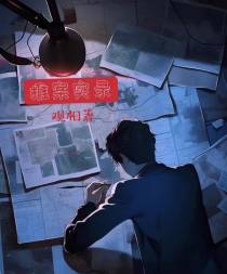 推案实录