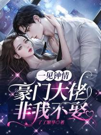 一见钟情,豪门大佬非我不娶