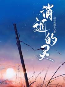 消逝的灵