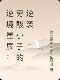 逆境星辰：穷酸小子的逆袭