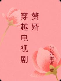 穿越电视剧赘婿